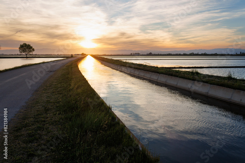 Puesta de sol sobre el canal de la derecha del Ebro junto a plantaciones de arroz, España