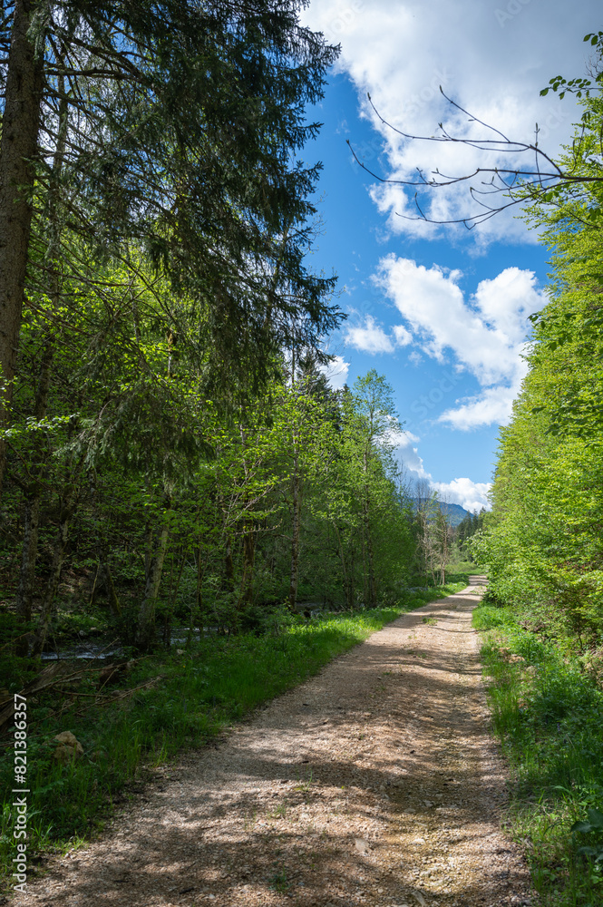 Fototapeta premium la Valserine, rivière sauvage