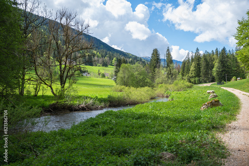 Vallée de la Valserine, rivière sauvage