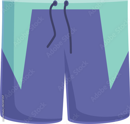 Colorful digital image showcasing a pair of modern swim shorts design
