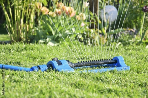  A sprinkler sprays water onto the grass of the lawn and flower bed in the garden. A modern garden irrigation system on a sunny summer day