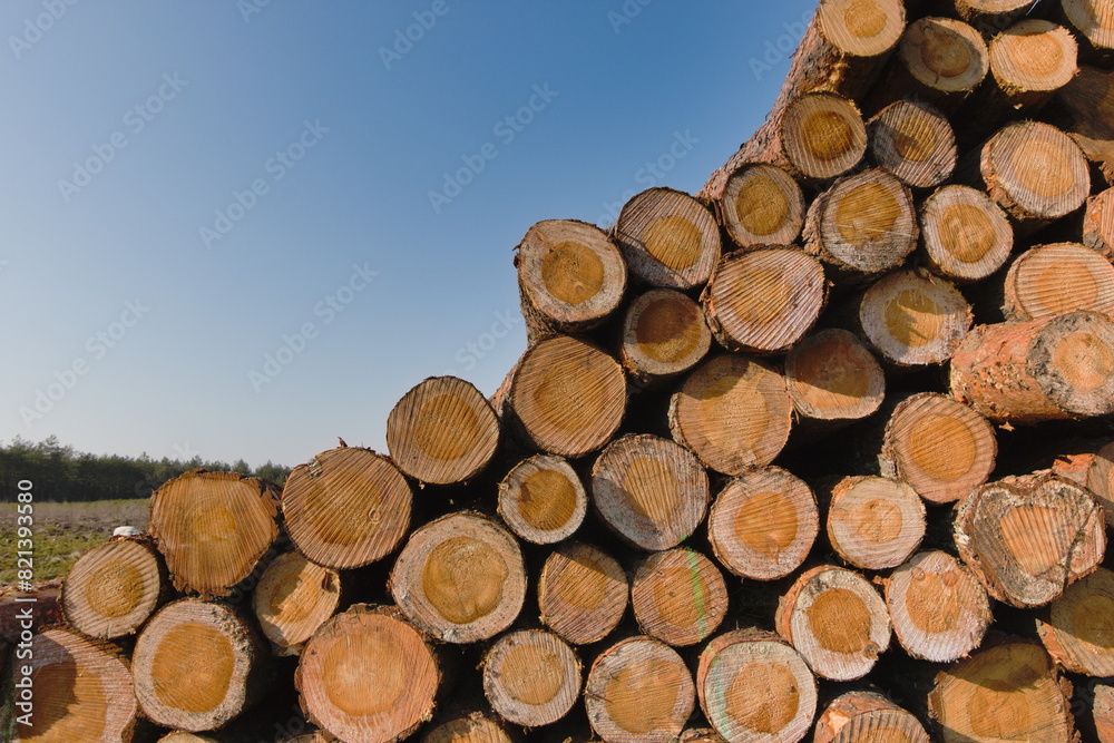 stack of wood stack of wood
