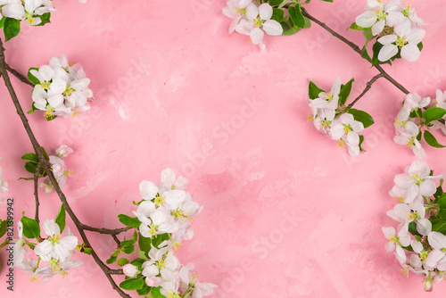 a branch of spring blossoming apple tree on a pink background.