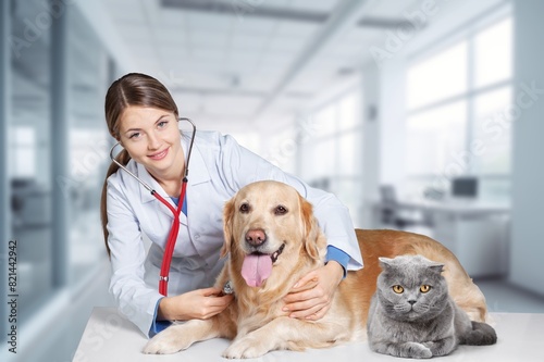 Smiling vet doctor with dog pet and fluffy cat photo