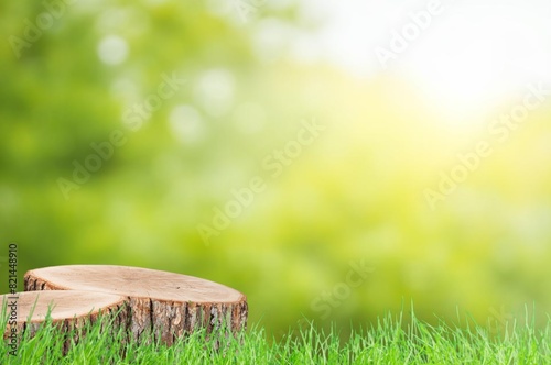 Wood podium in outdoors garden forest © BillionPhotos.com