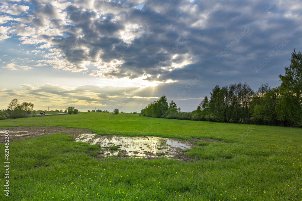A large puddle in the middle of a field. Sunset sky, spring evening landscape, soft sunlight on the grass.