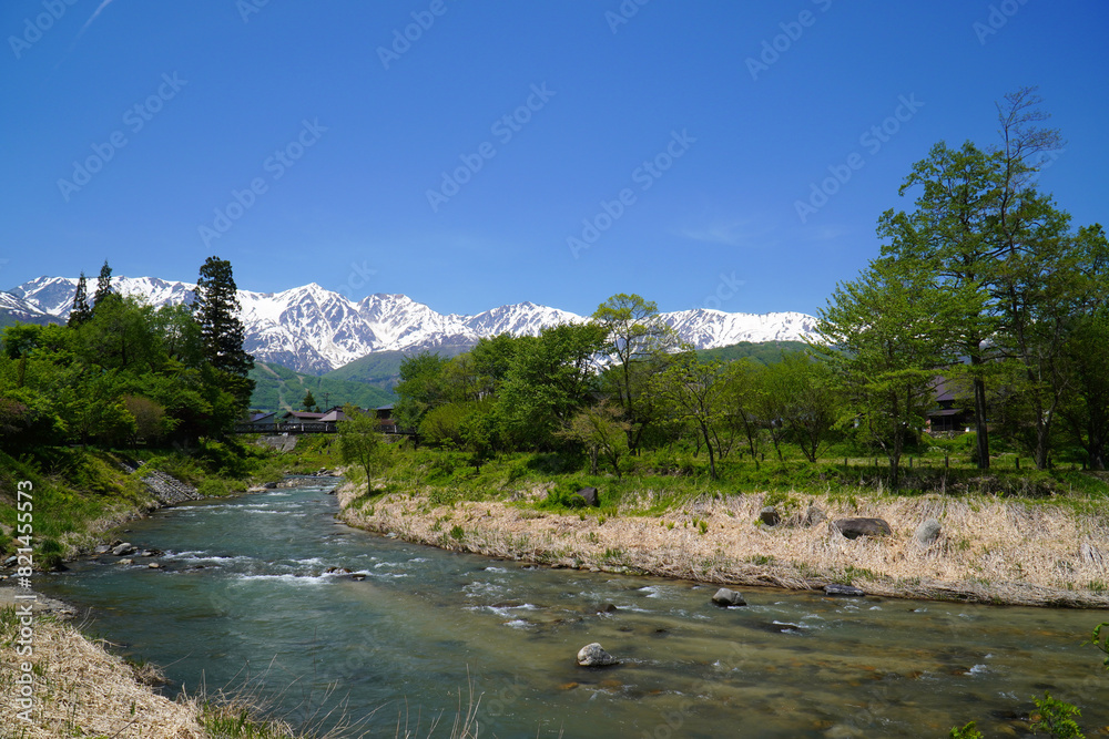 Fototapeta premium 新緑の大出公園から眺めた北アルプス