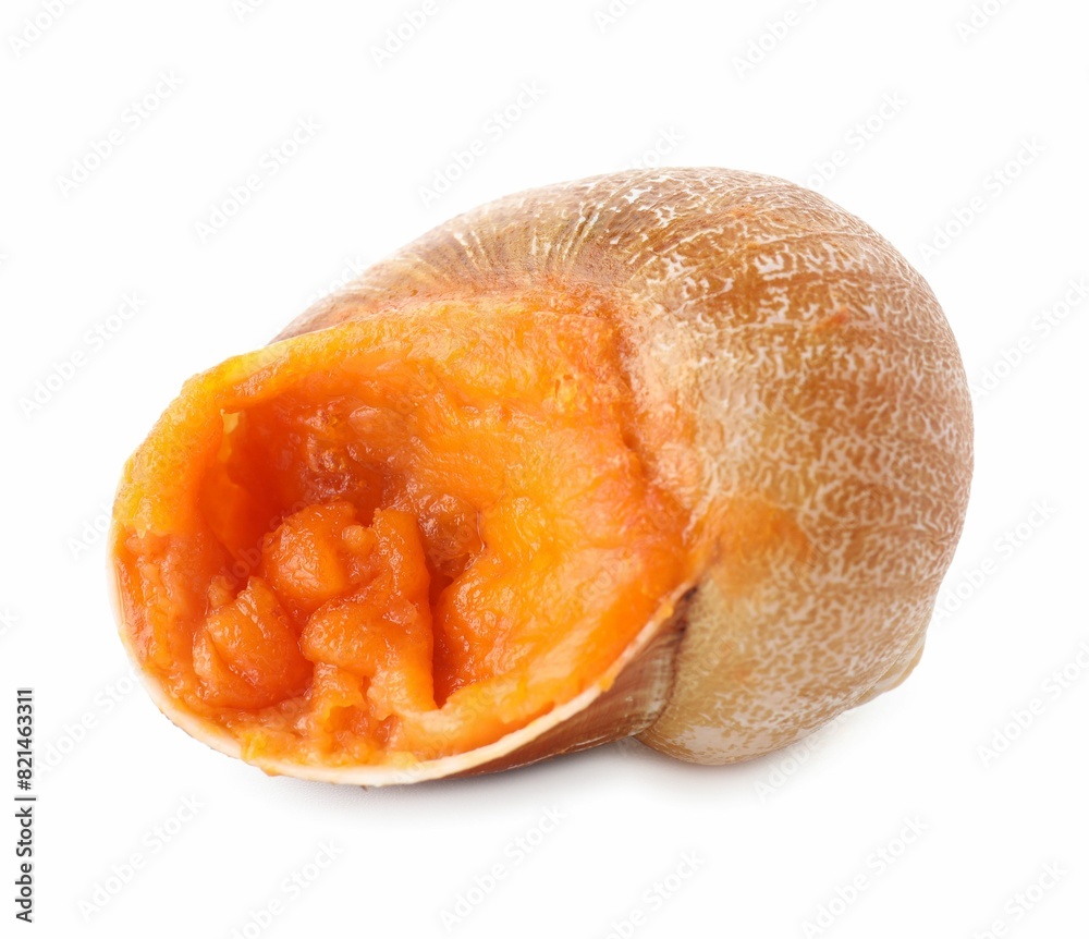 One delicious cooked snail isolated on white One delicious cooked snail isolated on white