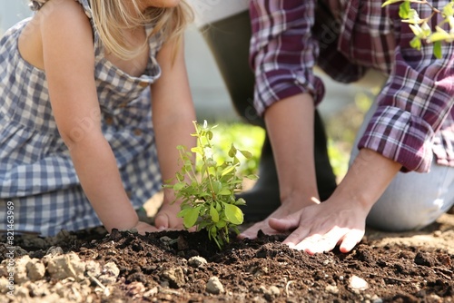Mother and her cute daughter planting tree together in garden  closeup