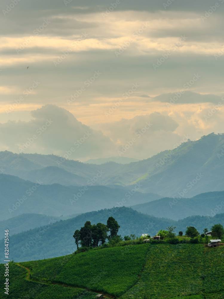 Fototapeta premium landscape view vertical beautiful scenery looking fog green tree forest Mountain hill natural blue sky cloud horizontal distant countryside thailand asia travel holiday wind relax dawn time