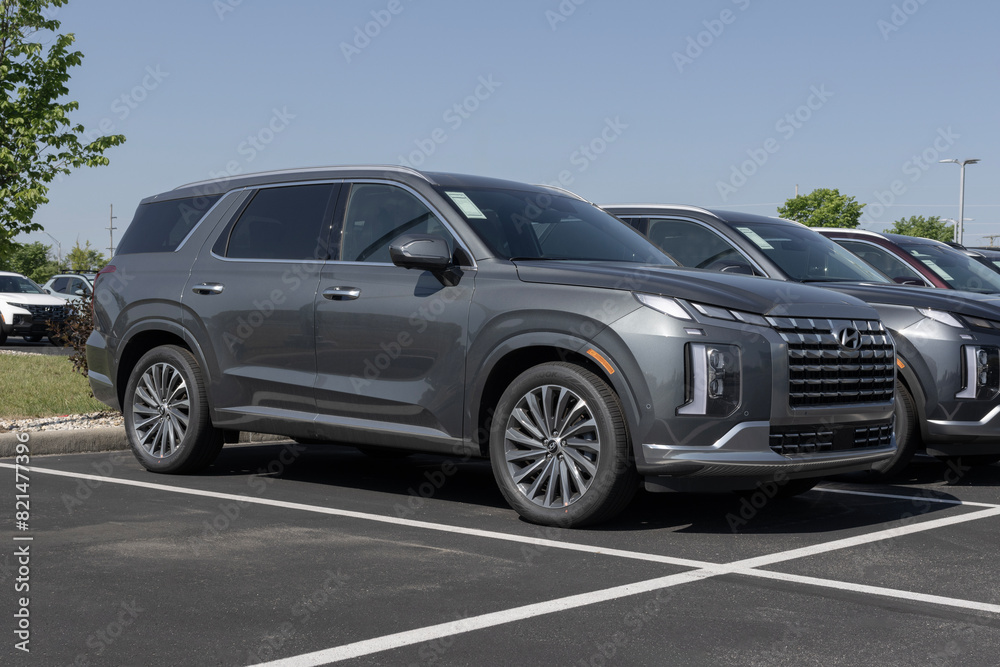 Hyundai Palisade Calligraphy display at a dealership. Hyundai offers ...