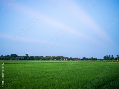 landscape panorama view beautiful scenery looking rice field fog green tree forest Mountain hill natural blue sky cloud horizontal distant countryside thailand asia travel holiday wind relax dawn time