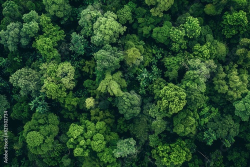 Aerial view of nature green forest and tree. Forest ecosystem  texture of green forest from above.Nature conservation concept.Natural scenery tropical green forest - generative ai