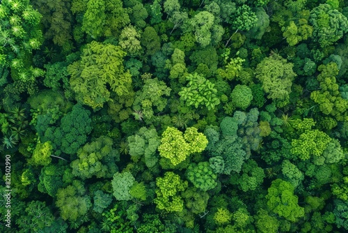 Aerial view of nature green forest and tree. Forest ecosystem, texture of green forest from above.Nature conservation concept.Natural scenery tropical green forest - generative ai