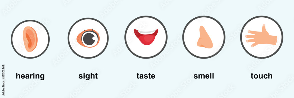 Five senses body parts posters with icons representing hearing, sight, taste, smell, touch as human body anatomy Five senses body parts posters with icons representing hearing, sight, taste, smell, touch as human body anatomy