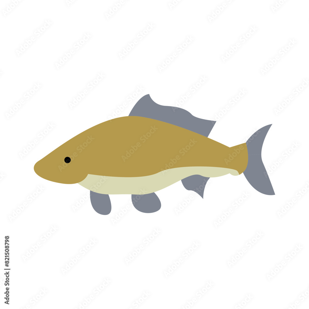 Carp icon Carp icon