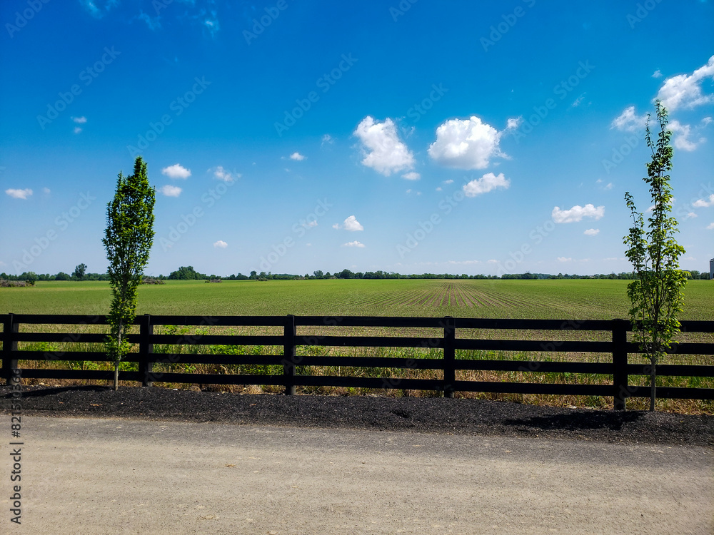 Fenced Agricultural Field with New Growth During a Sunny Day