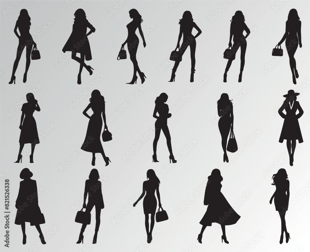 Fototapeta premium stylish Women silhouette bundle 
