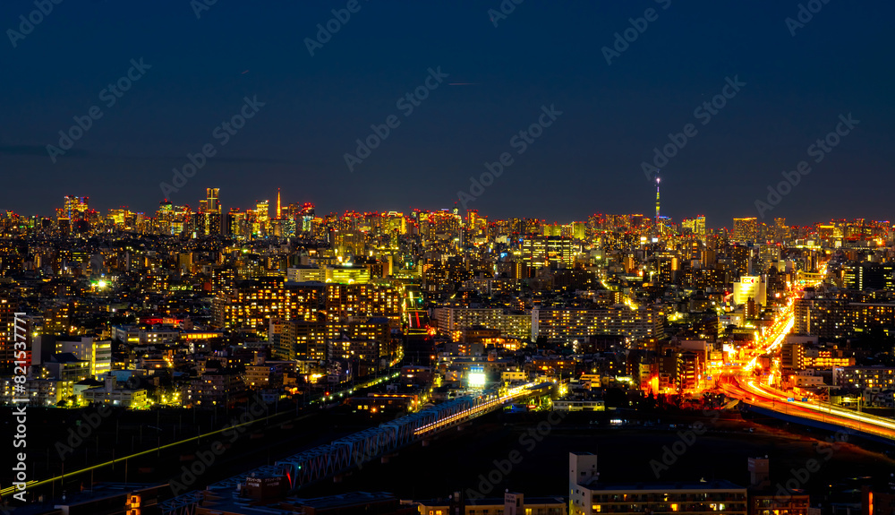 Fototapeta premium 川崎から望む東京夜景