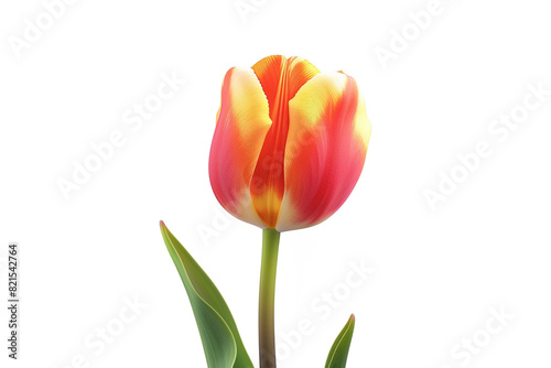 The vibrant tulip emoji blooming against a pristine white backdrop  symbolizing spring  renewal  and the beauty of nature. solid white background