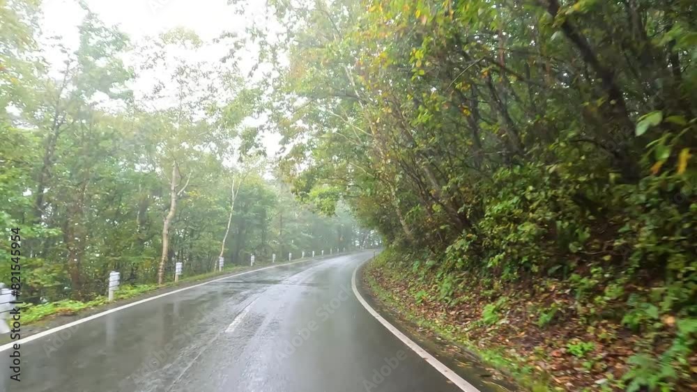 雨の日 紅葉が美しい林道をドライブ 雨の日 紅葉が美しい林道をドライブ