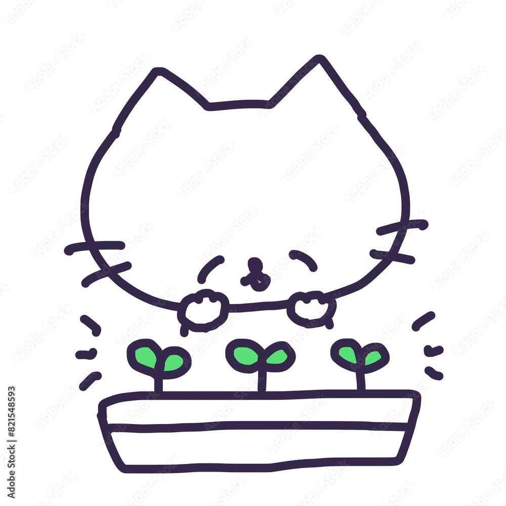 プランターの発芽した双葉とかわいい白い色の子猫のイラスト プランターの発芽した双葉とかわいい白い色の子猫のイラスト
