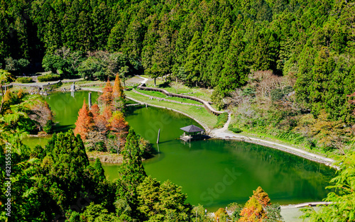 Glamorous winter scenery of colorful bald cypress trees surrounding a green pond in the forests at the Mingchi Forest Recreation Area in Yilan County, northeastern Taiwan. photo