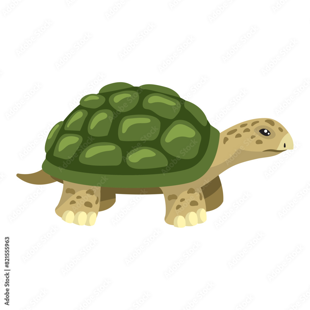Obraz premium green tortoise animal