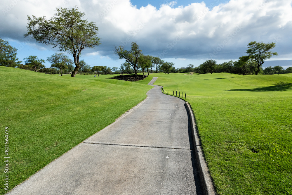 Cart path leading between two tree lined fairways, tropical golf vacation, Maui, Hawaii
Cart path leading between two tree lined fairways, tropical golf vacation, Maui, Hawaii