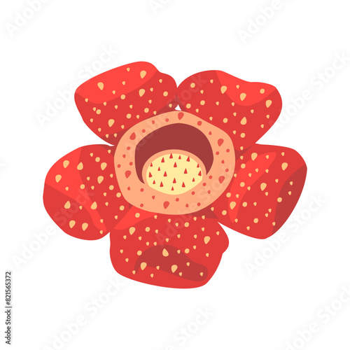Illustration vector graphic of Rafflesia arnoldii