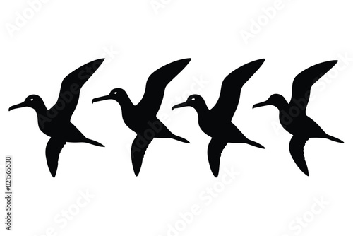 Set of Black Albatross Silhouette Vector on a white background © mobarok8888
