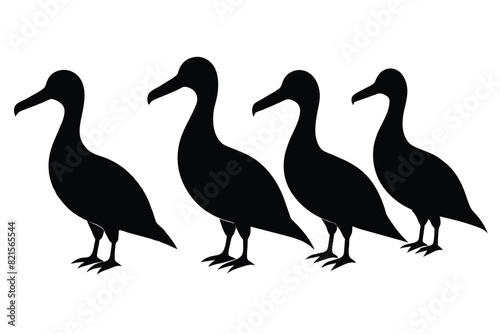 Set of Black Albatross Silhouette Vector on a white background