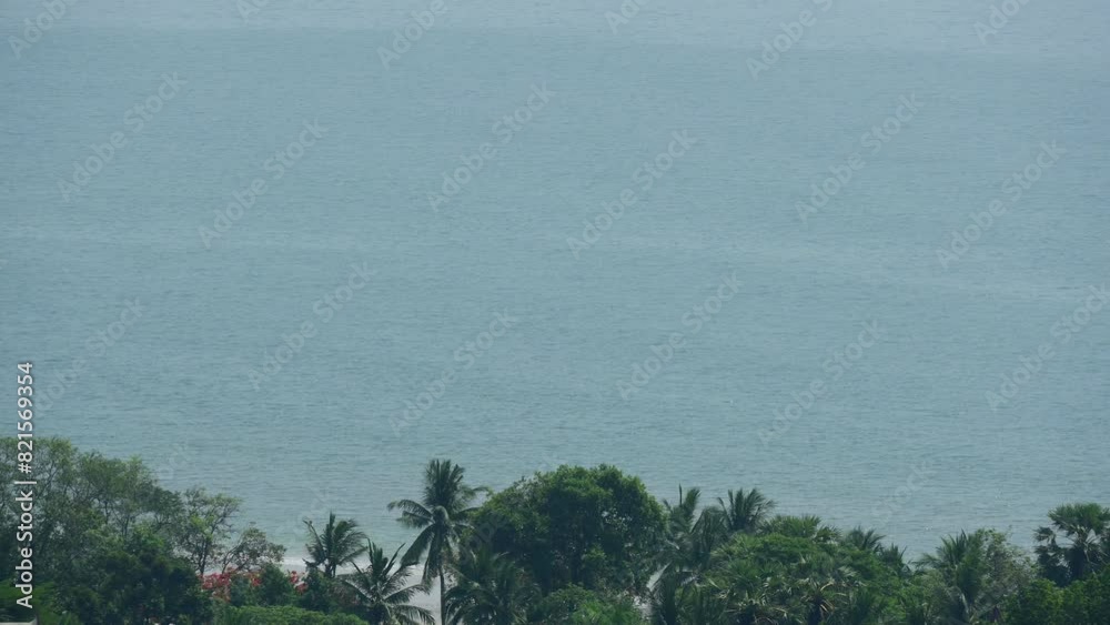 aerial view of beautiful beach and forest, destination for tourism aerial view of beautiful beach and forest, destination for tourism