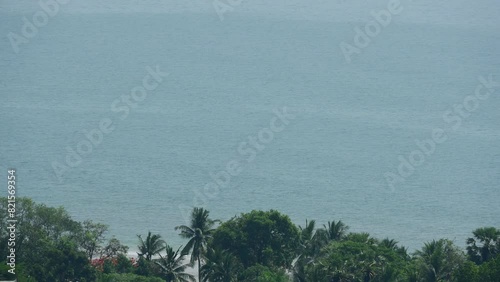 aerial view of beautiful beach and forest, destination for tourism