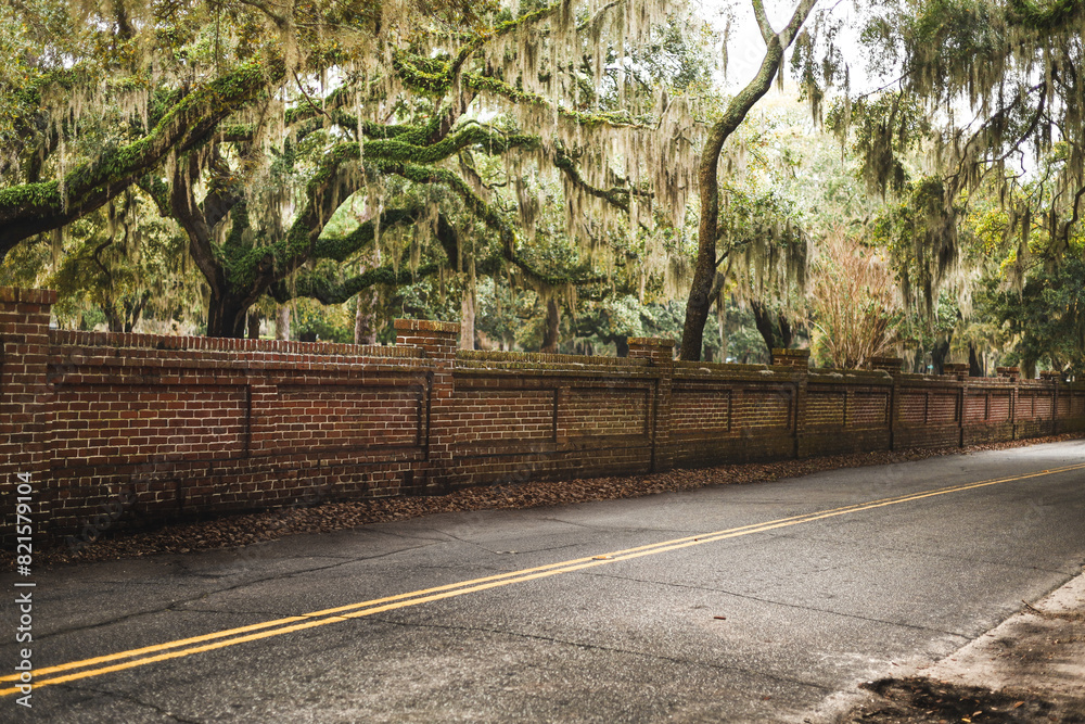 Obraz premium Road alongside a brick wall with Spanish moss trees in the background