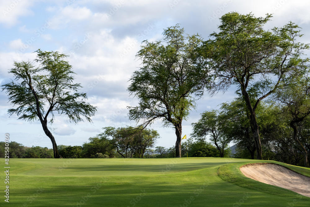 Beautiful sunny sky day on the golf course, fairway leading up to the green backed by trees and sky tropical golf vacation, Maui, Hawaii
Beautiful sunny sky day on the golf course, fairway leading up to the green backed by trees and sky tropical golf vacation, Maui, Hawaii