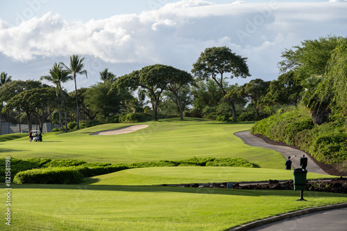Beautiful scenic golf course from tee box to dogleg turn on fairway and waiting golfers with cart, sand traps and palm trees, tropical golf vacation, Maui, Hawaii
 photo