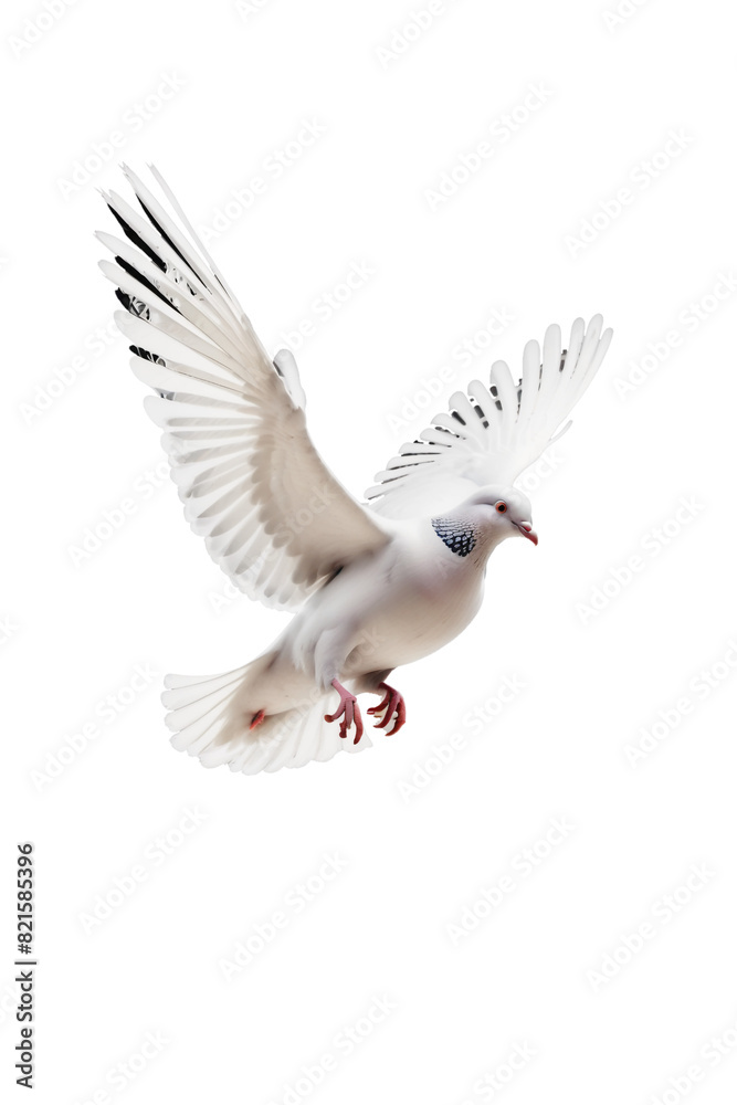Obraz premium Ethereal Dove Wings 