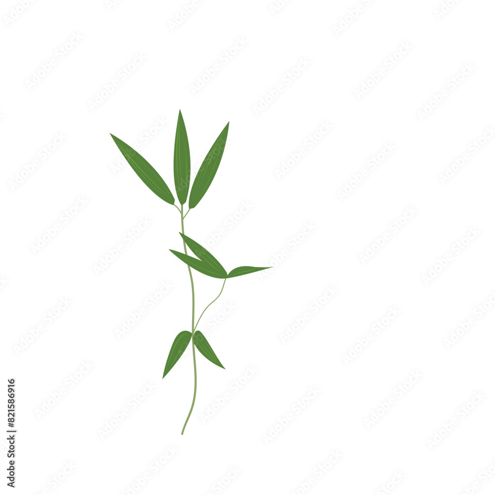 Bamboo-leaves