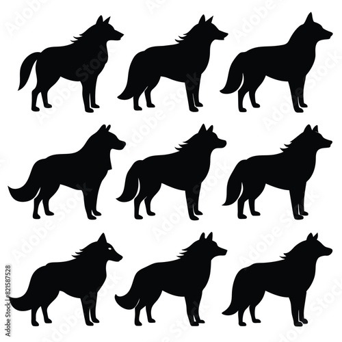 Set of Arctic Wolf black Silhouette Vector on a white background