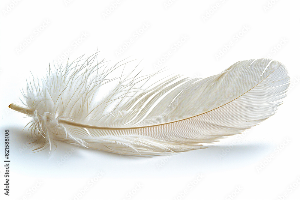 Obraz premium 白い羽根「AI生成画像」