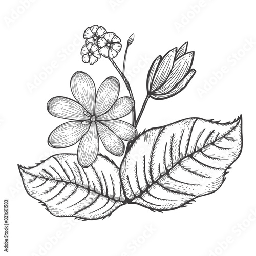 Engraving flowers