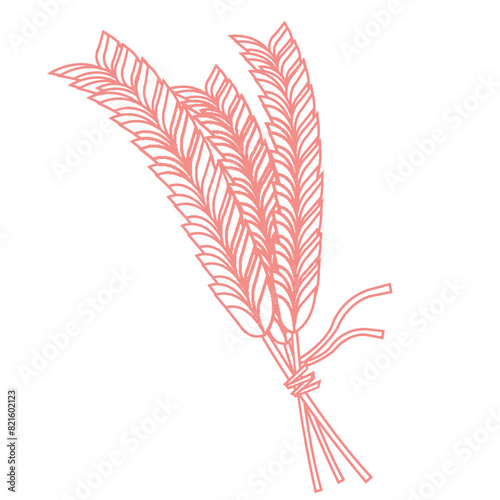 Wheat plant