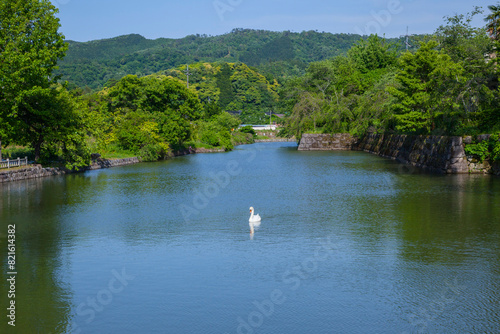 白鳥がいる池の風景 鳥取県 鹿野町 photo
