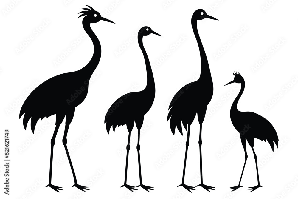 Set of African jacana Silhouette Vector on a white background