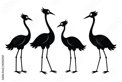Set of African jacana Silhouette Vector on a white background photo