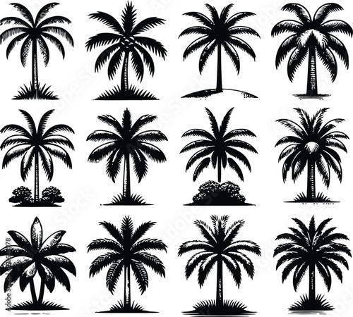 Palm tree silhouette vector © RSDESIGN