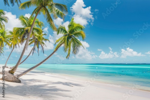 A beautiful beach with palm trees and a clear blue ocean