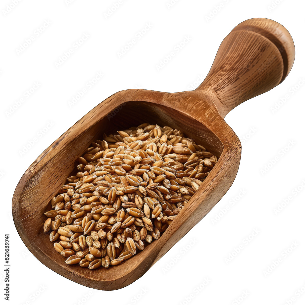 Wheat grains in a wooden scoop isolated on white background Wheat grains in a wooden scoop isolated on white background