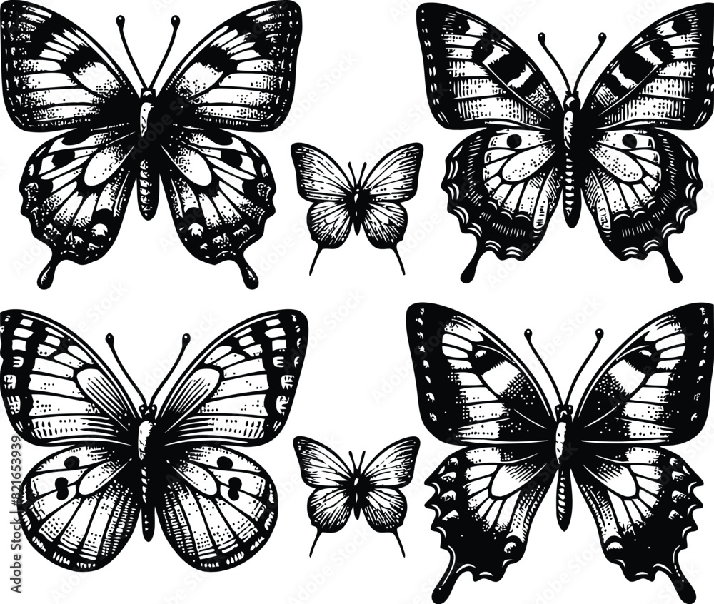 Obraz premium butterfly silhouette vector